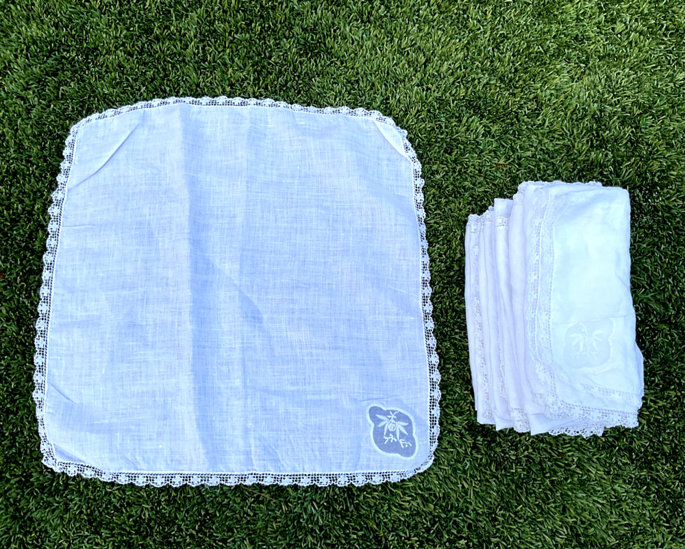 Vintage White Cloth Napkins 16x16 Set of 12 Lace Edge Embroidered Floral Estate